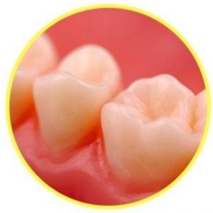 Teeth Close Up teeth close up image